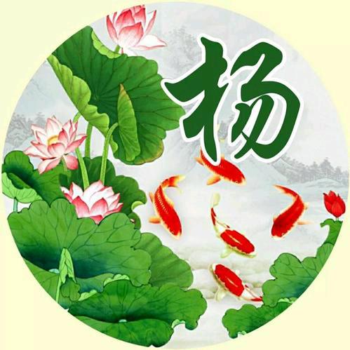 《落🌹叶💐无🌷声》