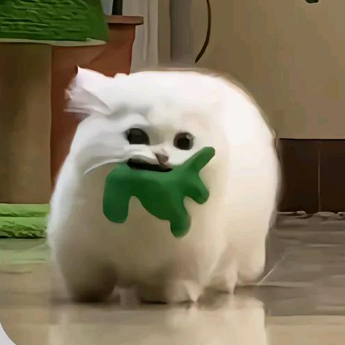 盒盒盒盒盒