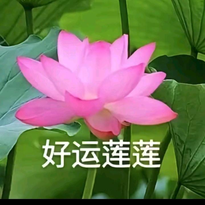 ꧁꧂   往事随风  ꧁꧂