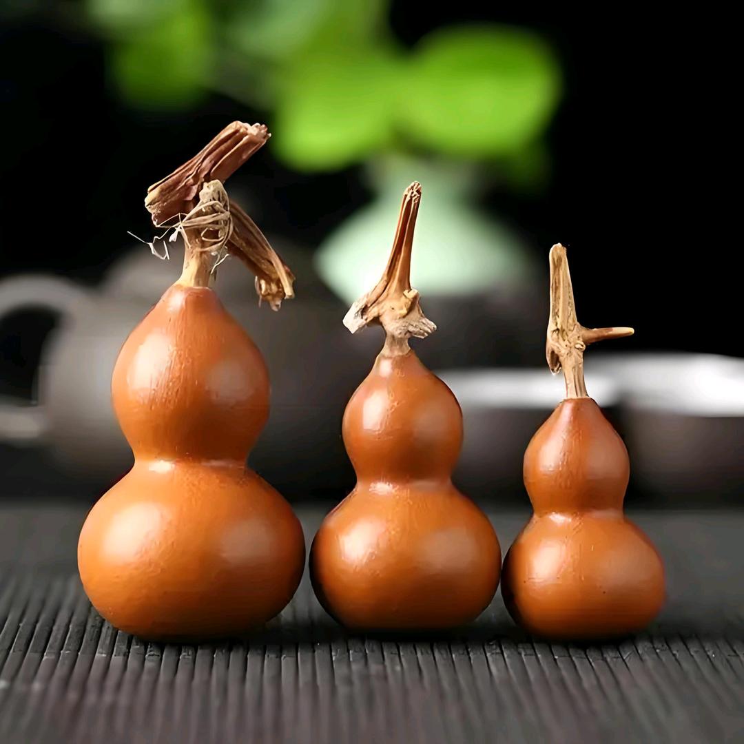 历练中“坚强”