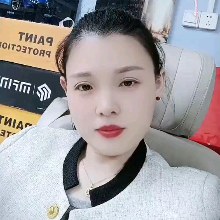 燕舞轻飞