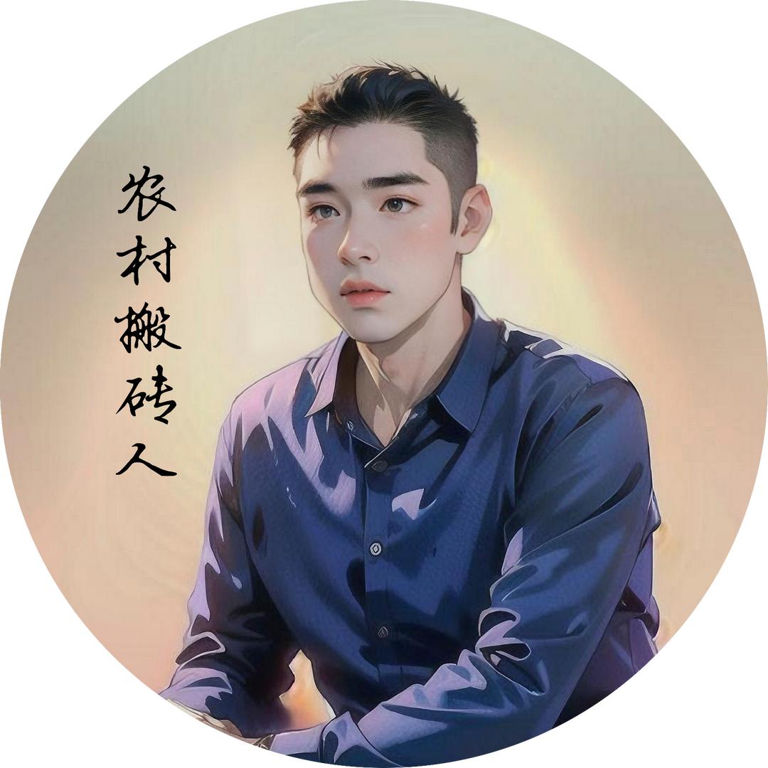 农村搬砖人（村干助农）