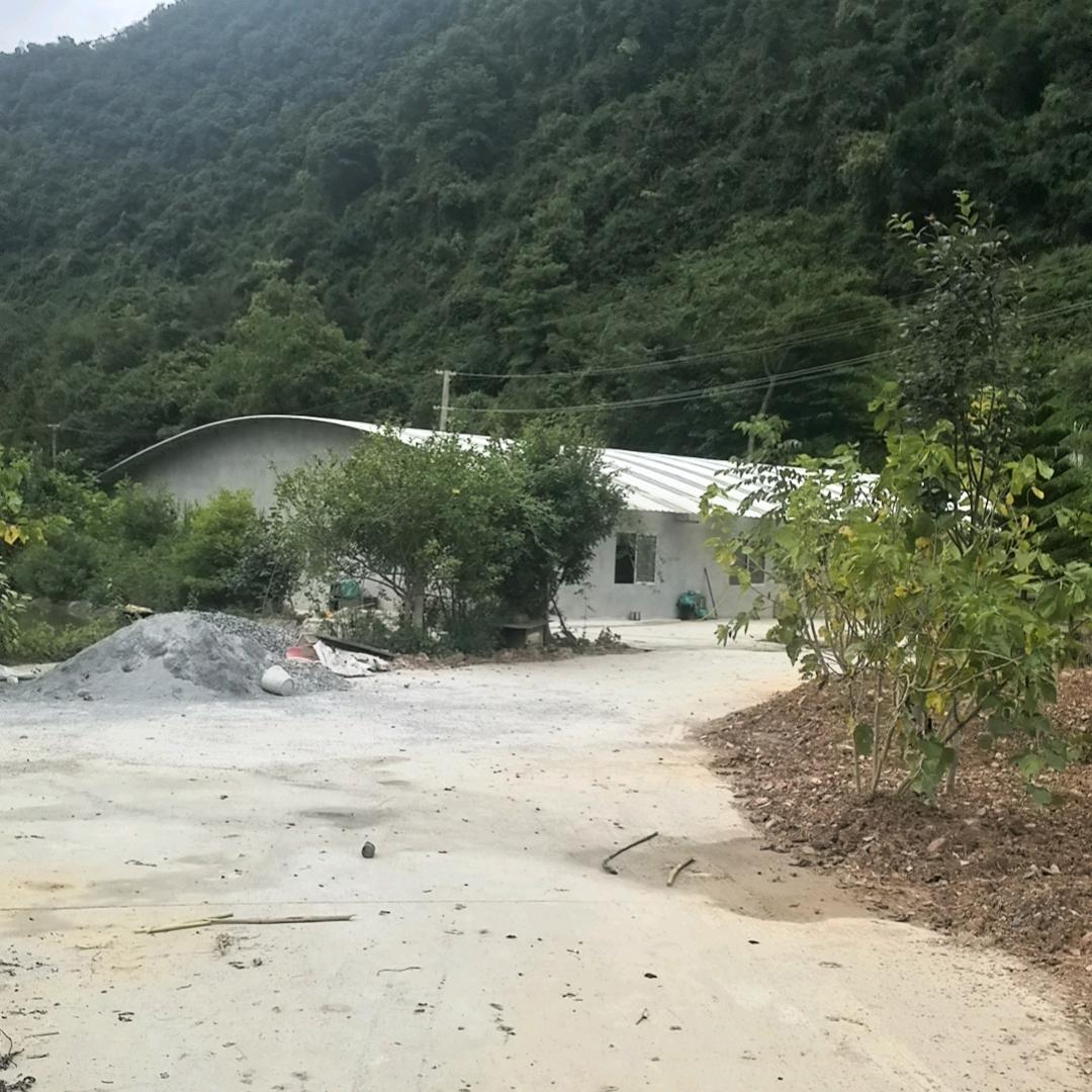 福递养蜂《松哥》