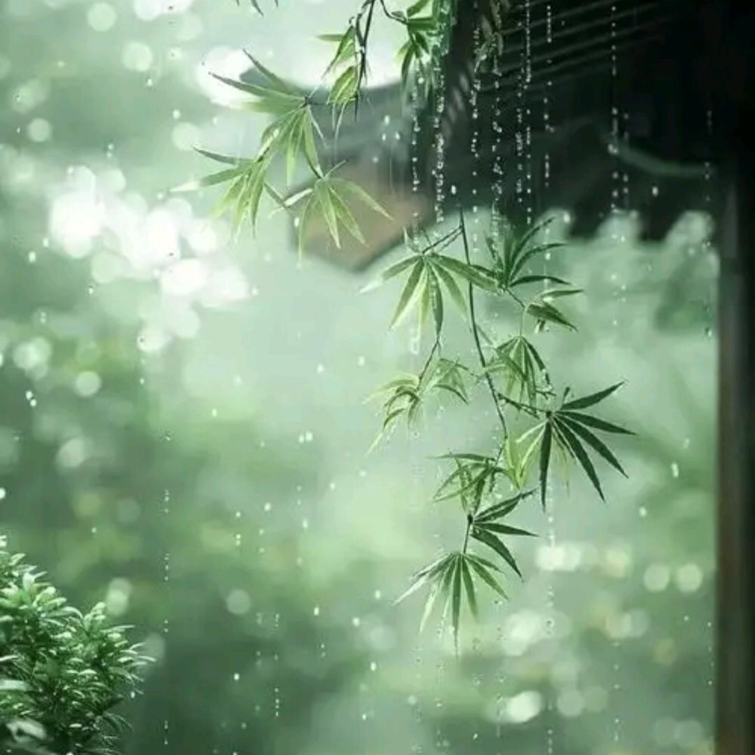 🌈夜聆🌈