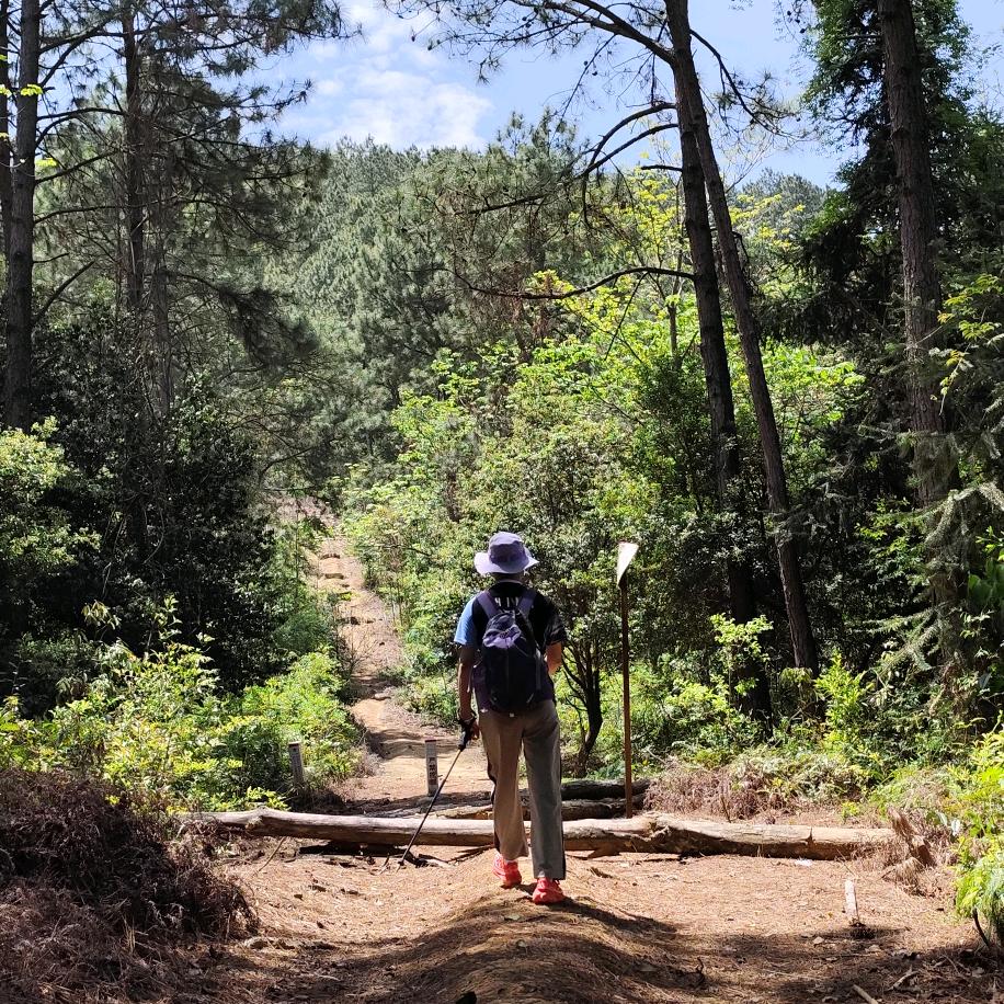 胡萝北爱吃小仙女🥕