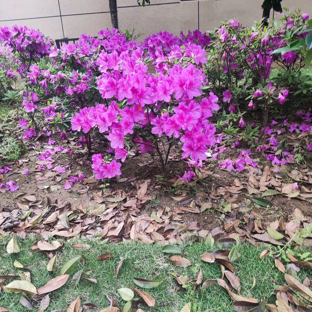 生活乐一乐