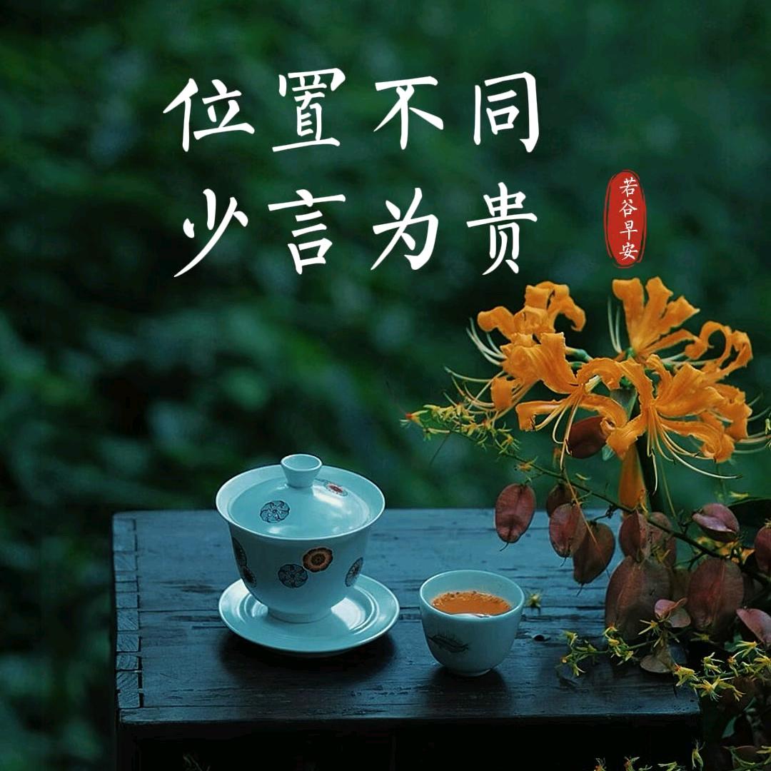 【光头强】之潇洒哥