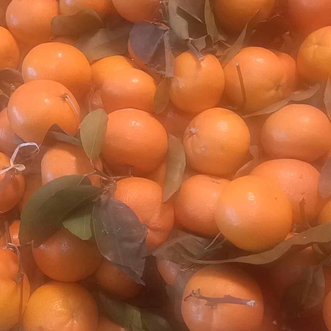 亿隆生鲜大学橙子🍊🍊🍊枝枝