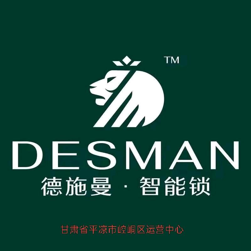 德施曼智能锁(平凉崆峒店)