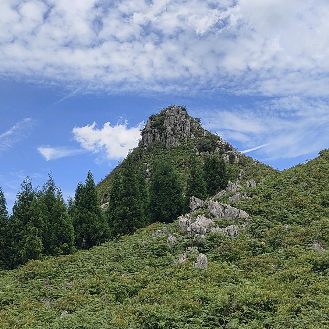 贵州黑马