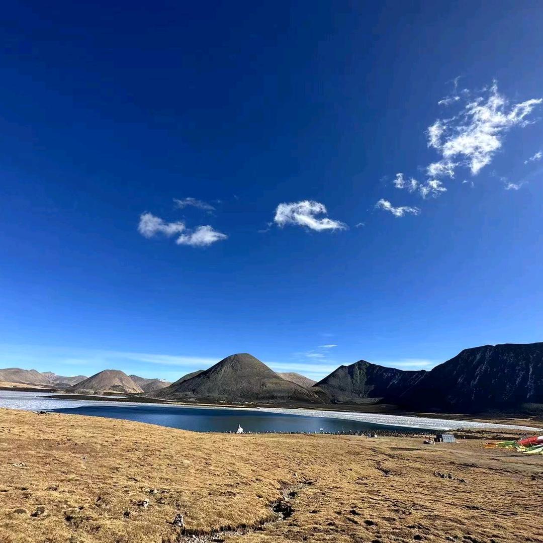 军哥探房信息咨询中心