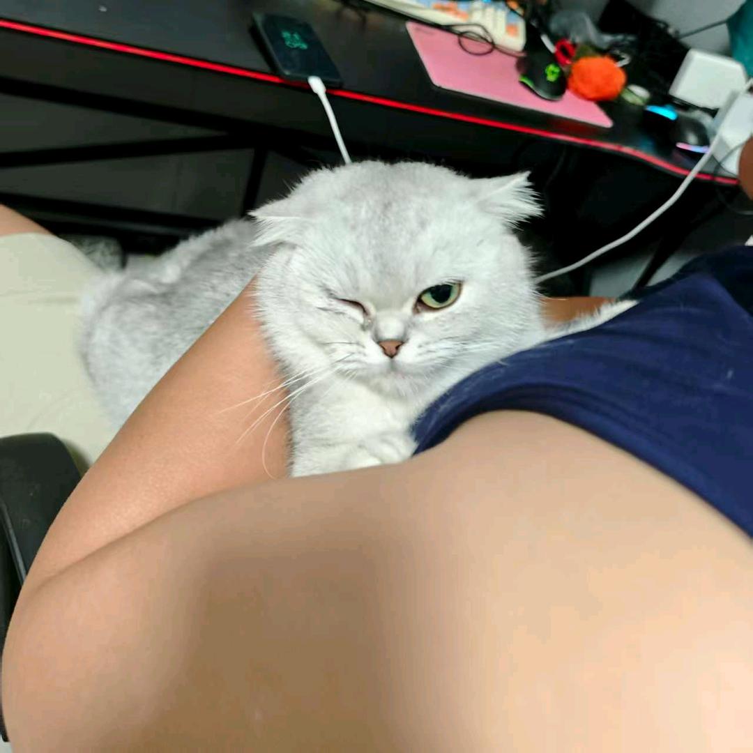 一看就是老斜方肌