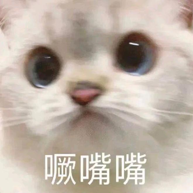 小别兔别又别