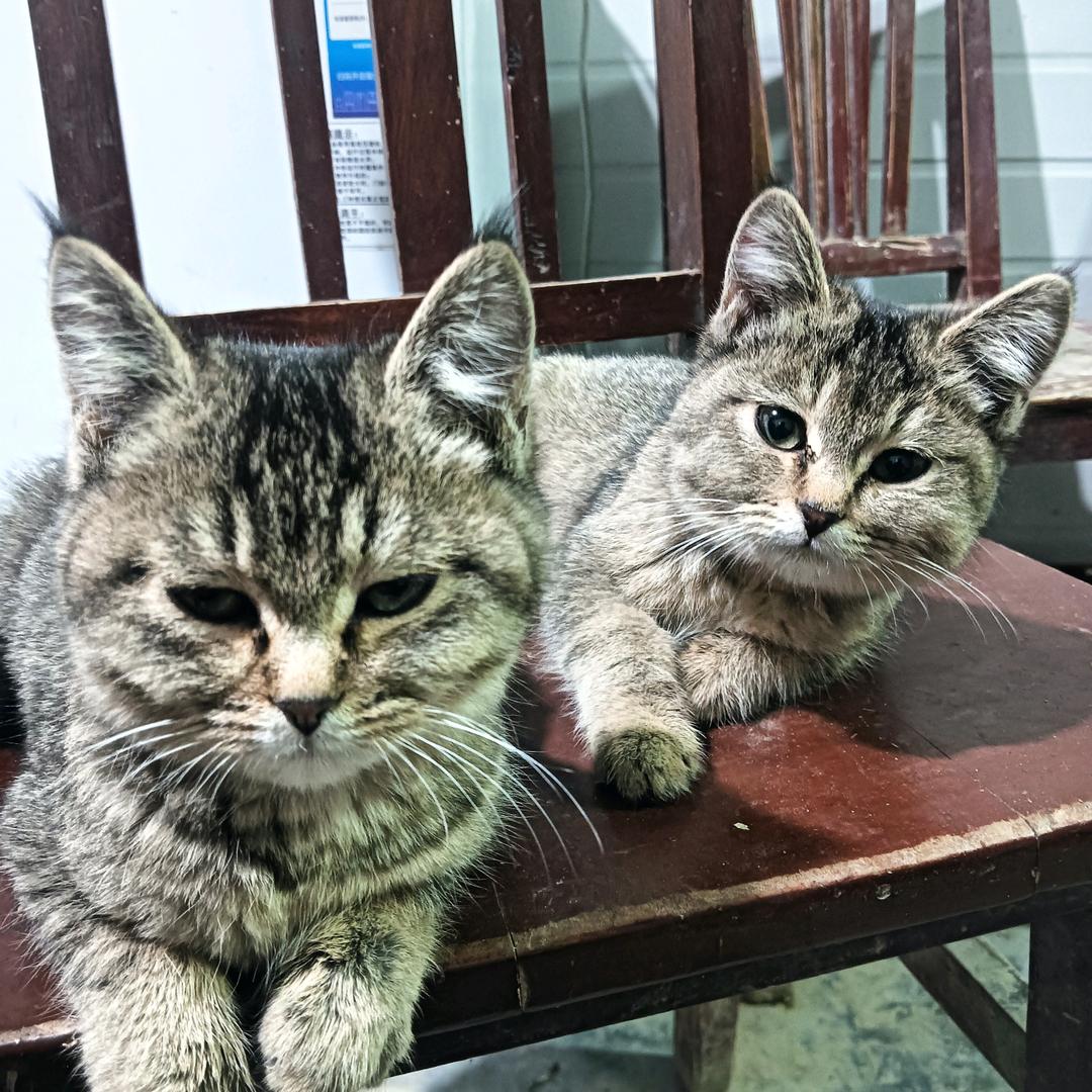 想你的时候问月亮