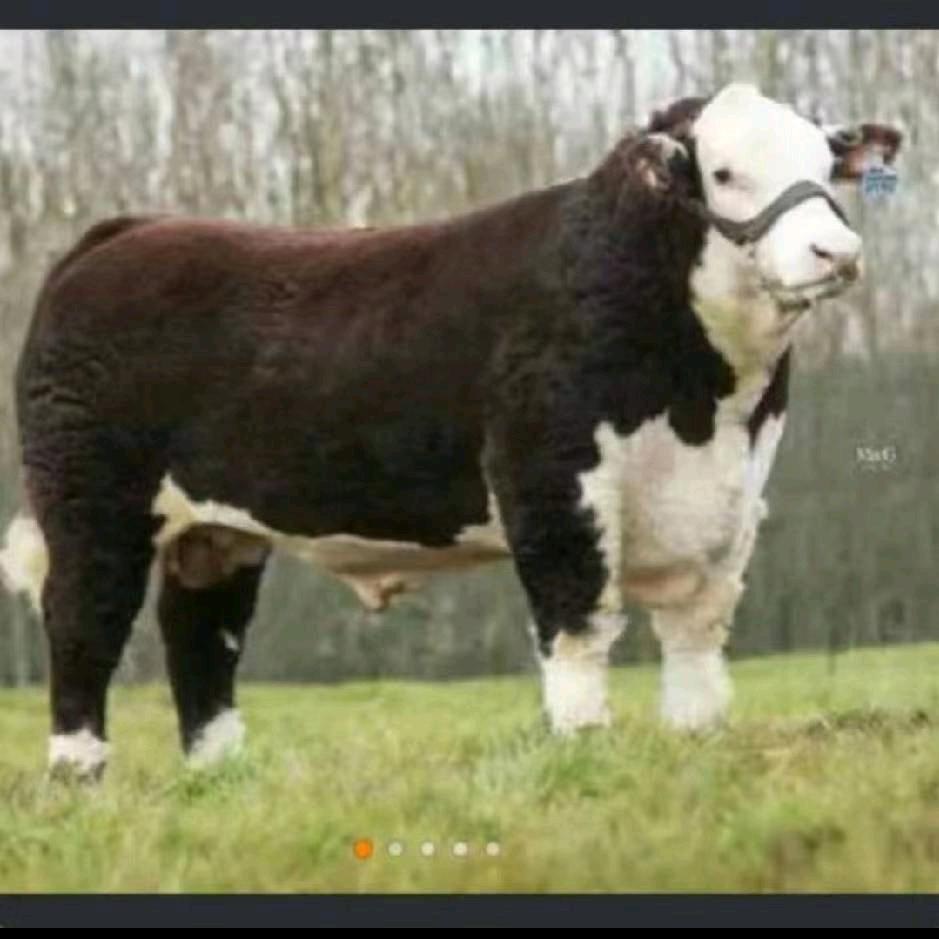 人生短暂好好的爱自己