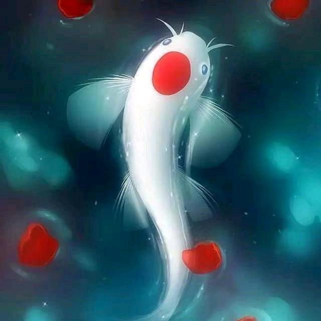 风雨人生路拒绝私聊。