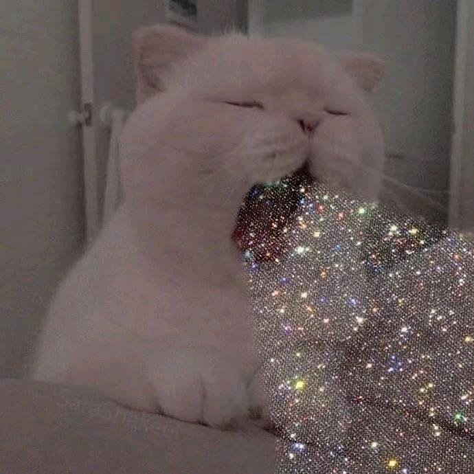 大华儿童用品推荐