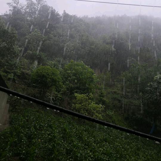 雨碎江南