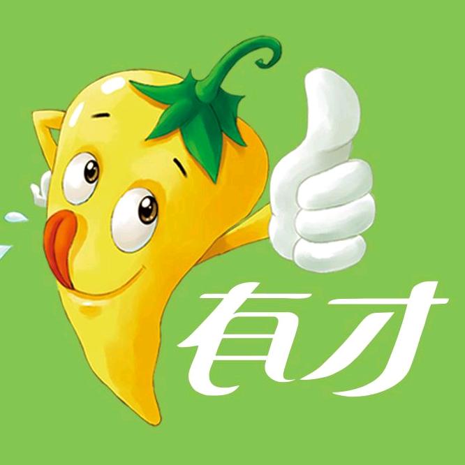 有才食品旗舰店