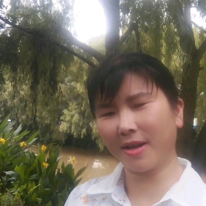 黄小妹