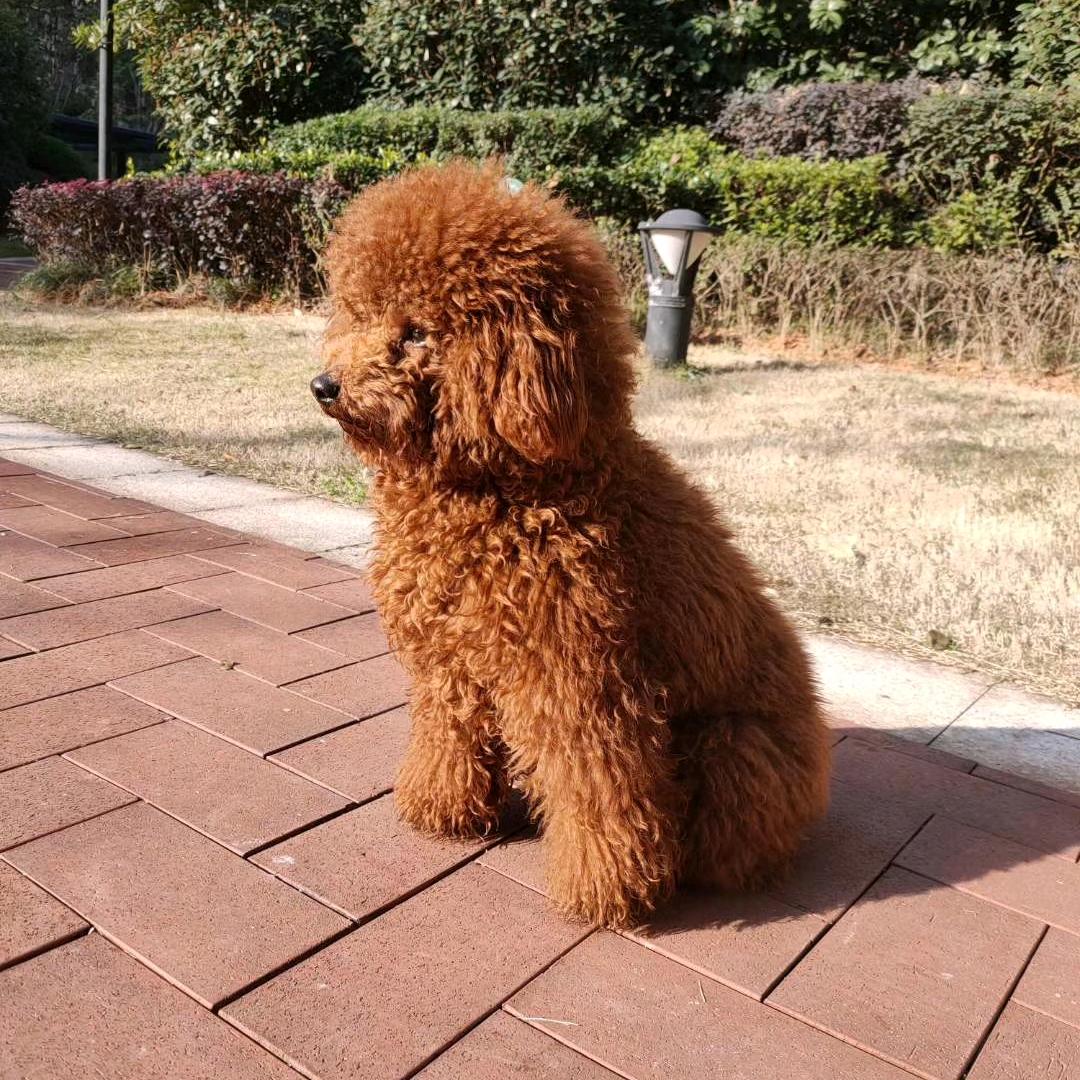 唯2🍃