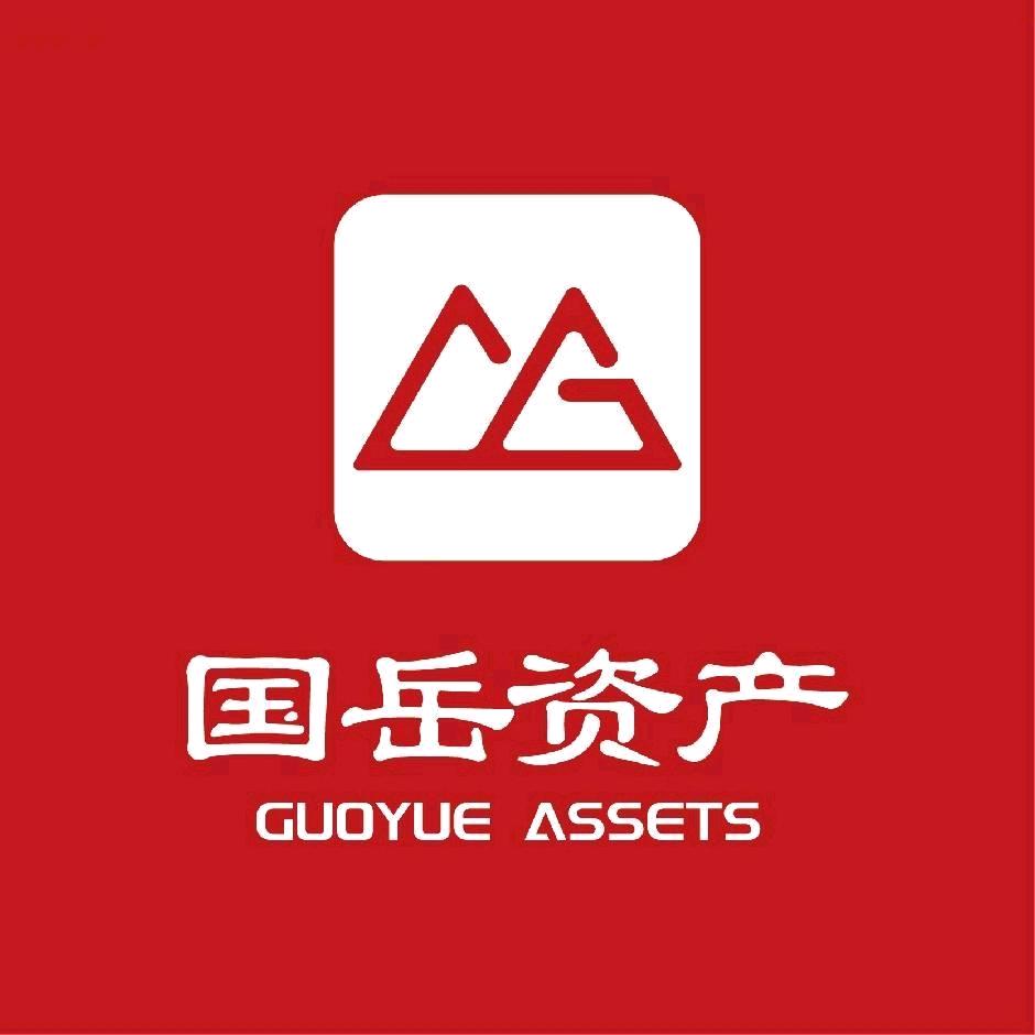 国岳资产杨洋阳