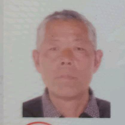 羊司令