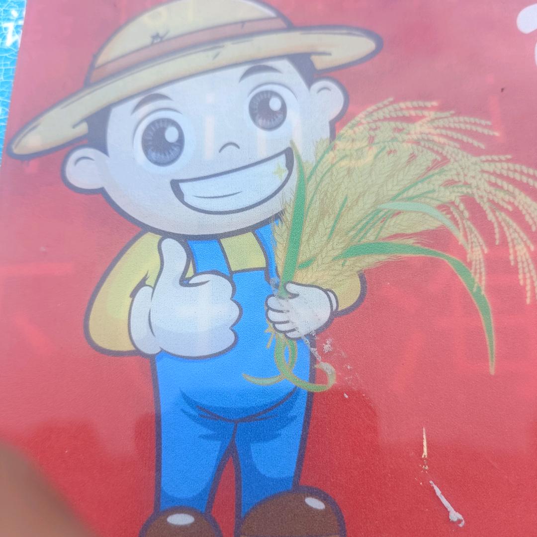 海阔天空小不点