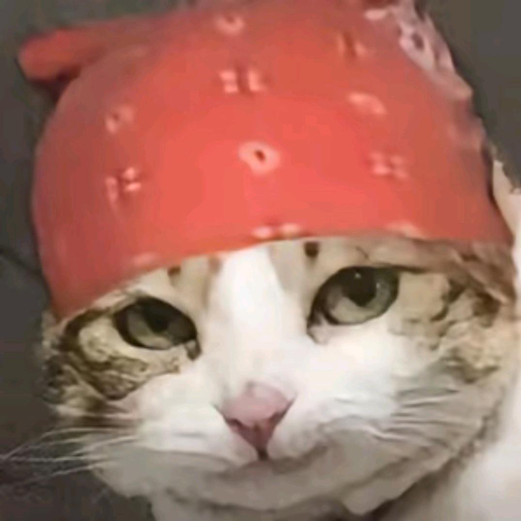 不要小看神的能力