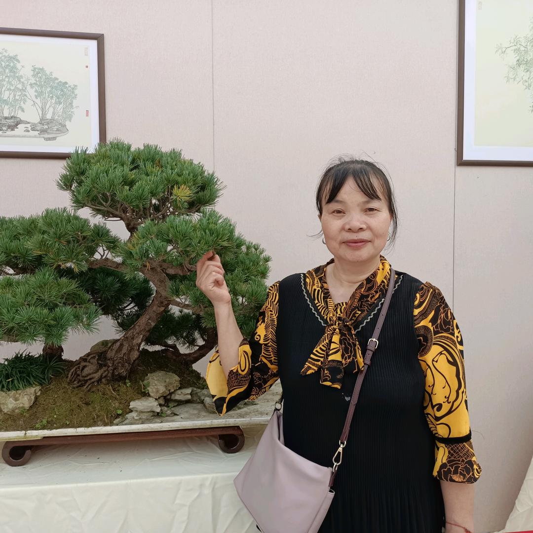 寒茹*江南秀*秀秀