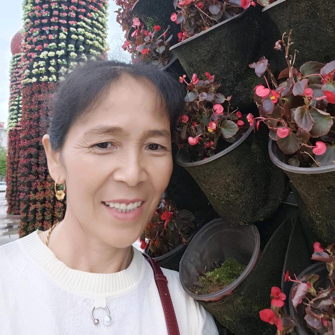李小凤