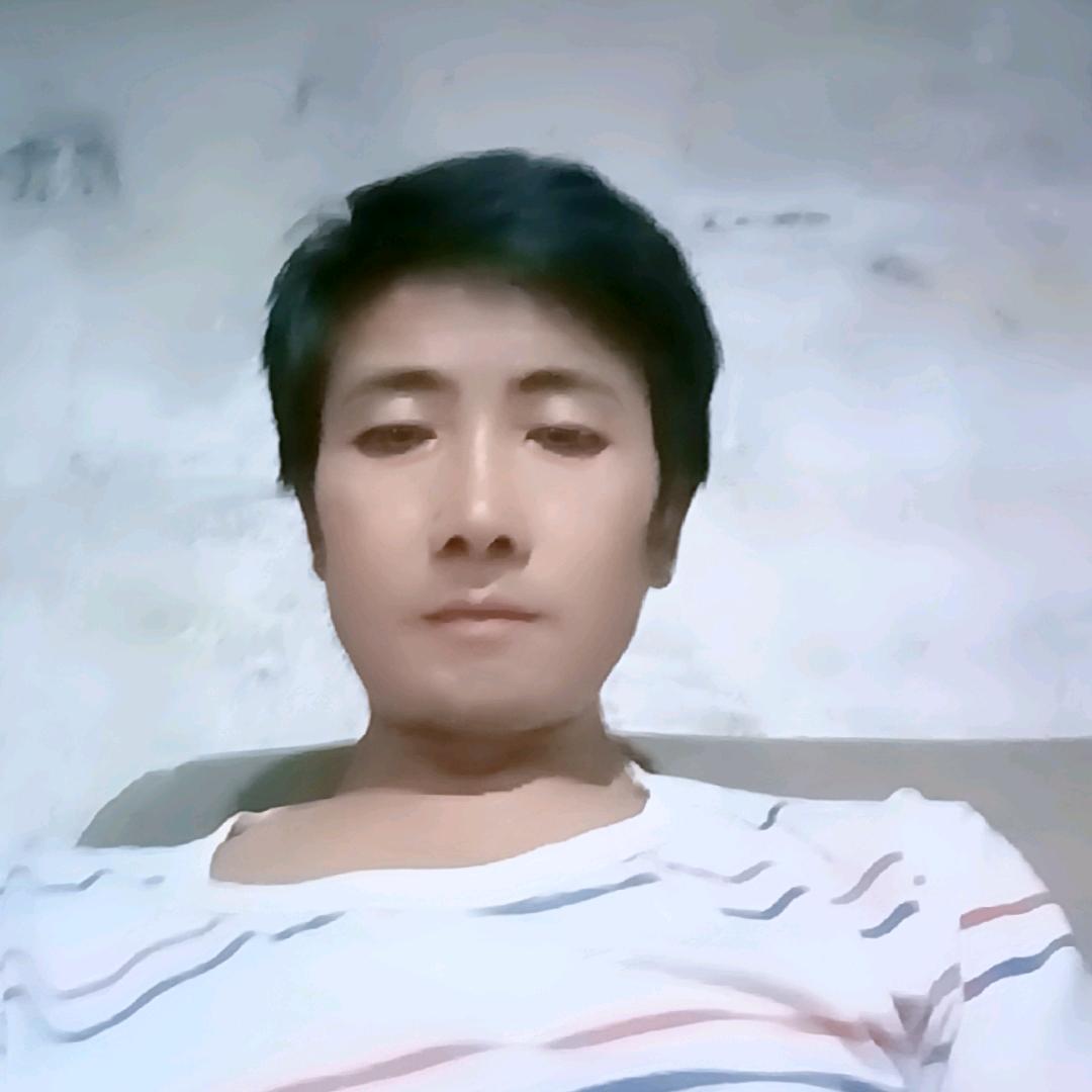 小吴斗鸡出售