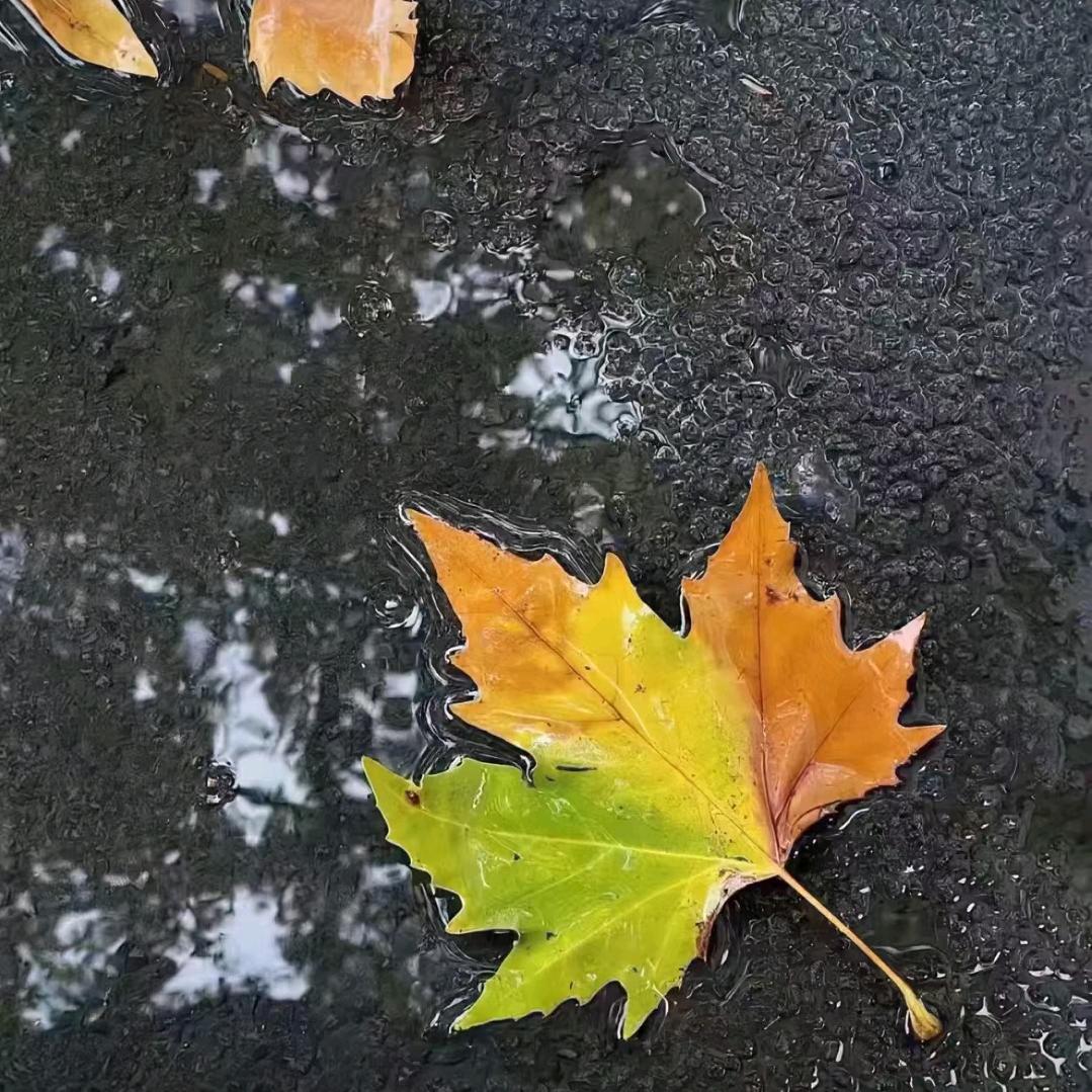 用户***'*