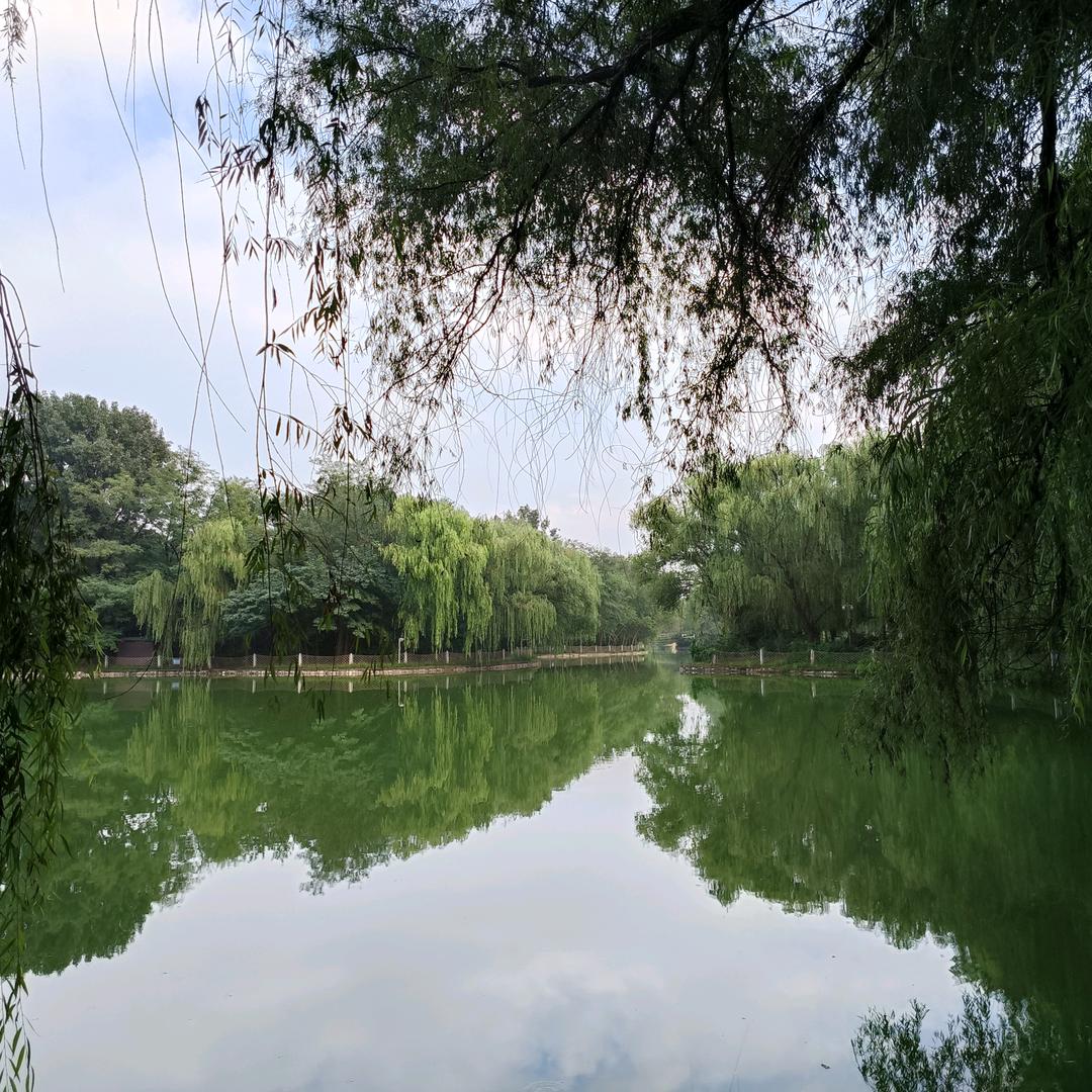 妞妞（请勿连赞）