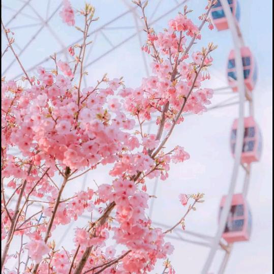 心@