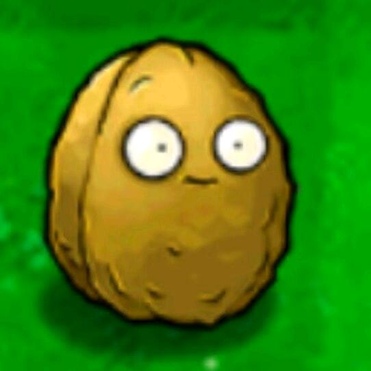 yyyyzzzz