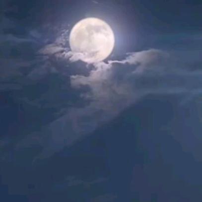 人生如梦。
