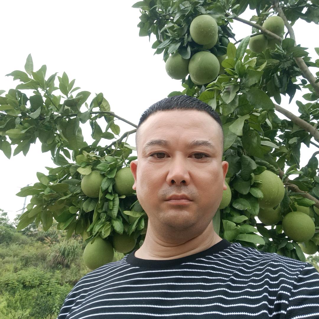 坚哥