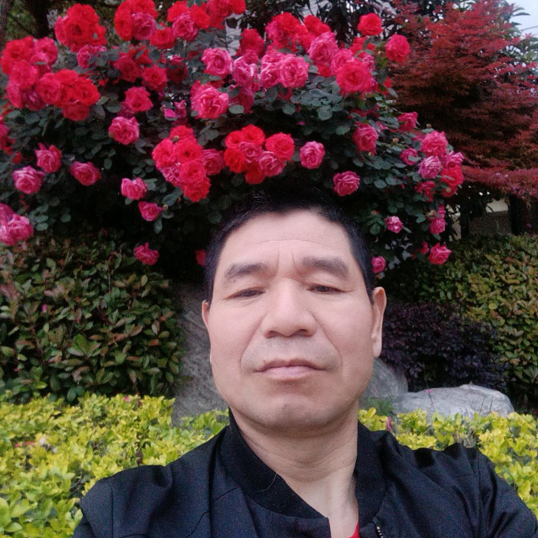 真诚到永远木易道安