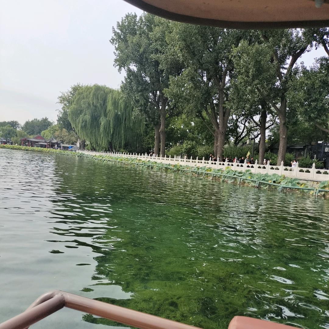 一切随缘