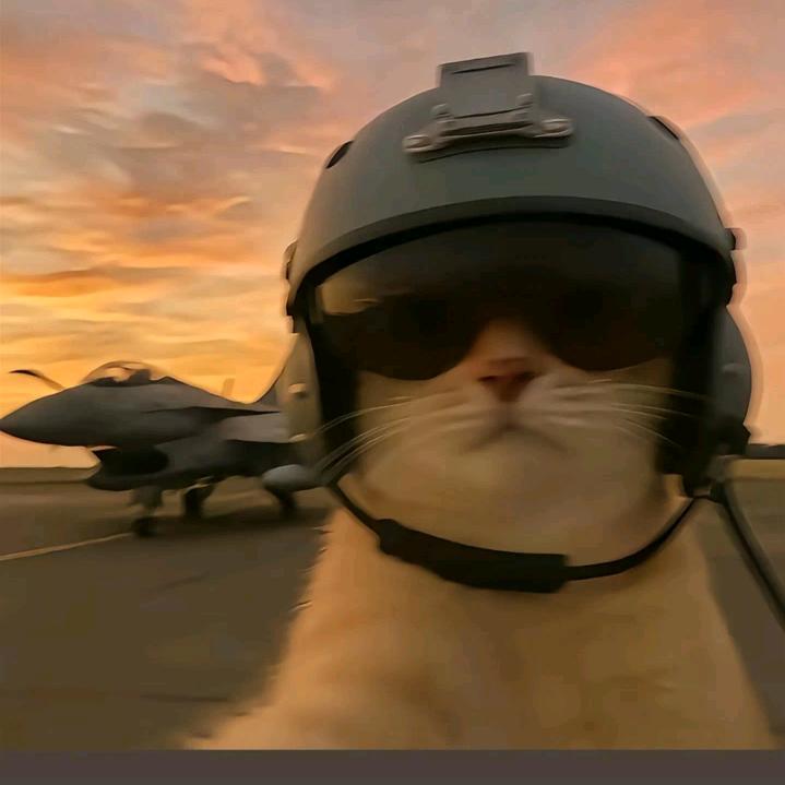 威风的鼠(跑刀鼠鼠)