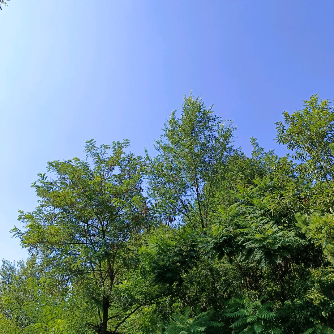 何瑞