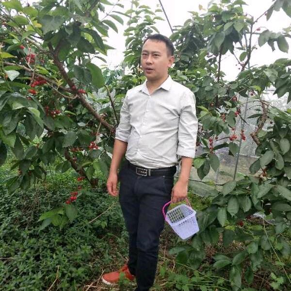 余旺维