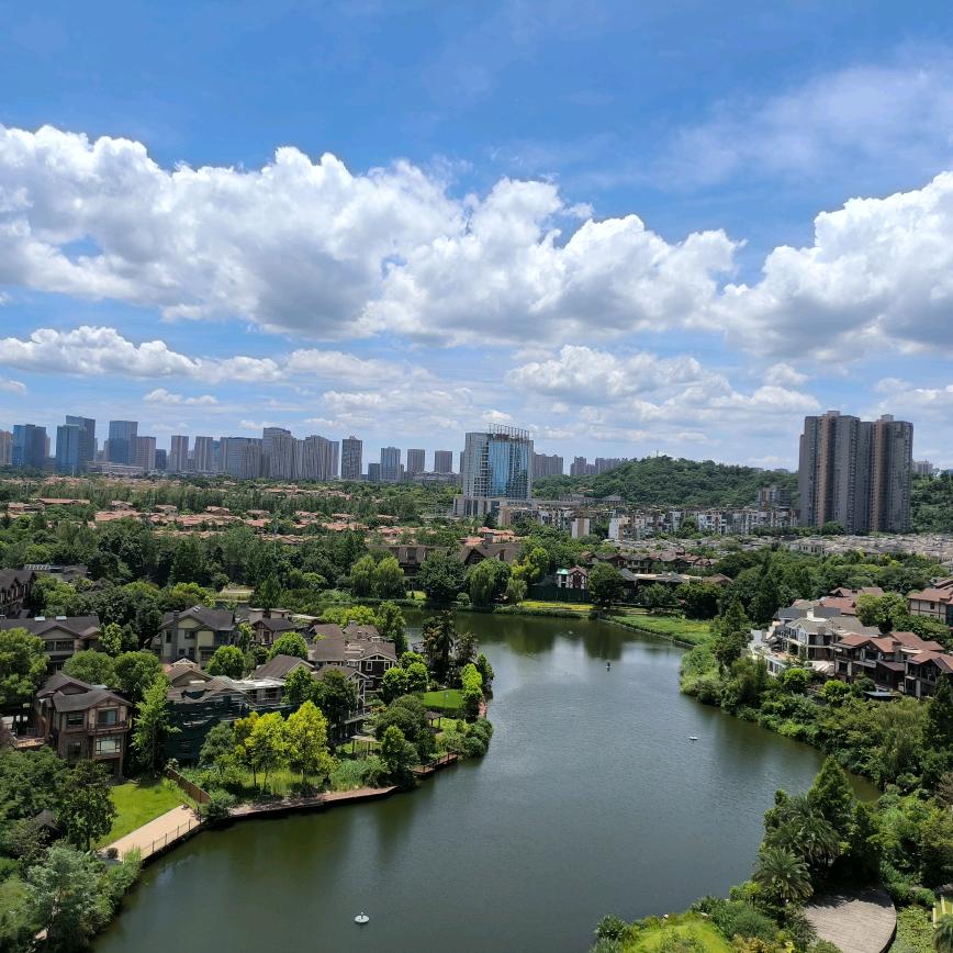 刘洪军
