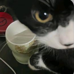 袮袮