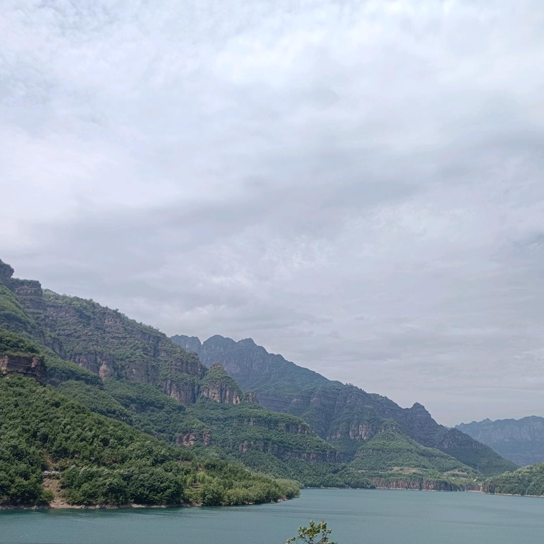 煮酒烧红叶