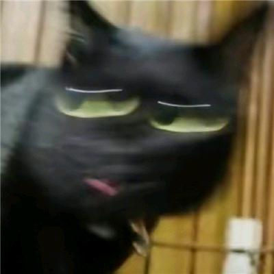 对唔住我系差佬