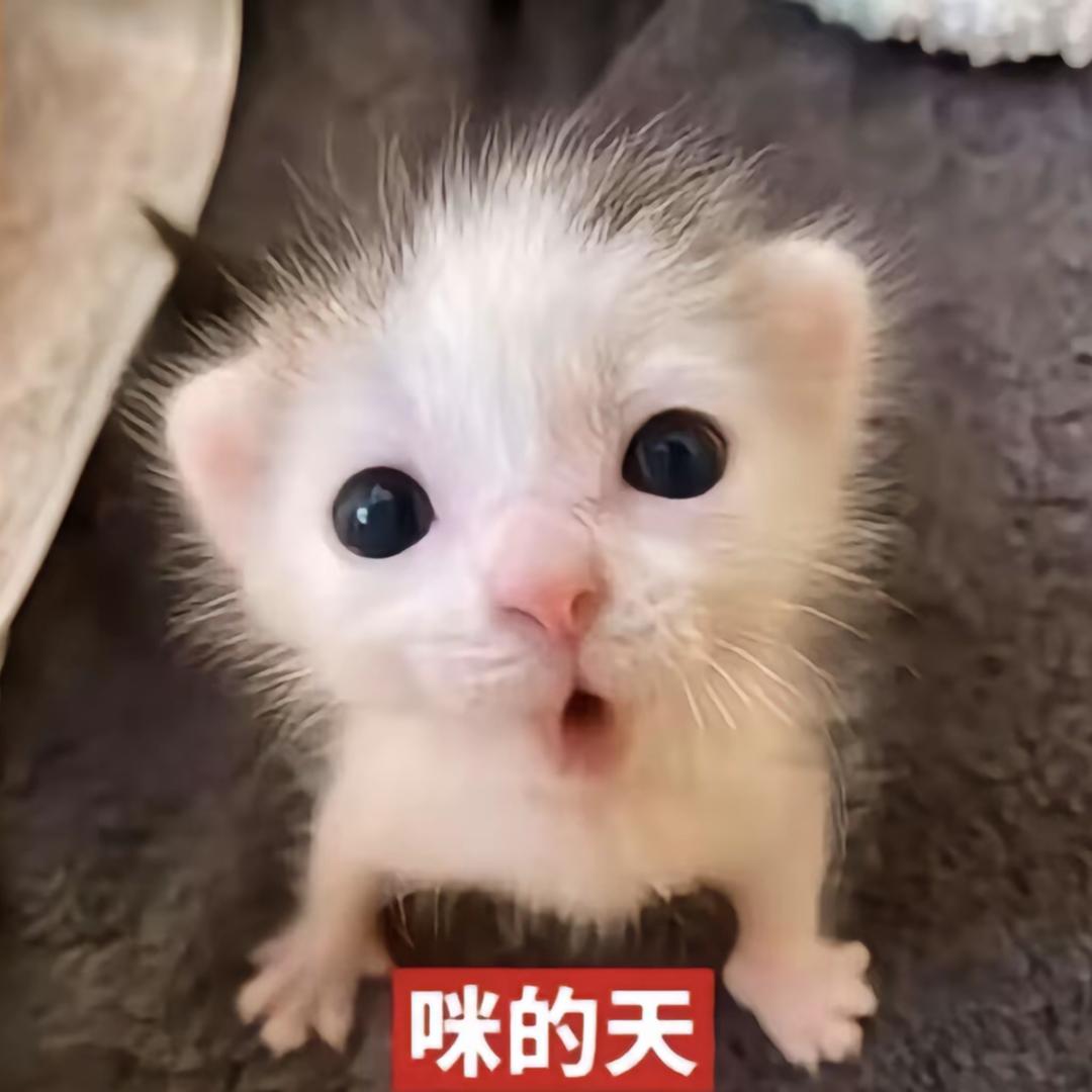 鹏