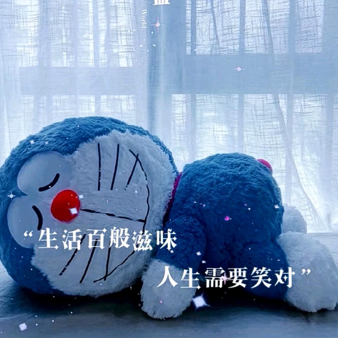 努力搬砖蓝胖子