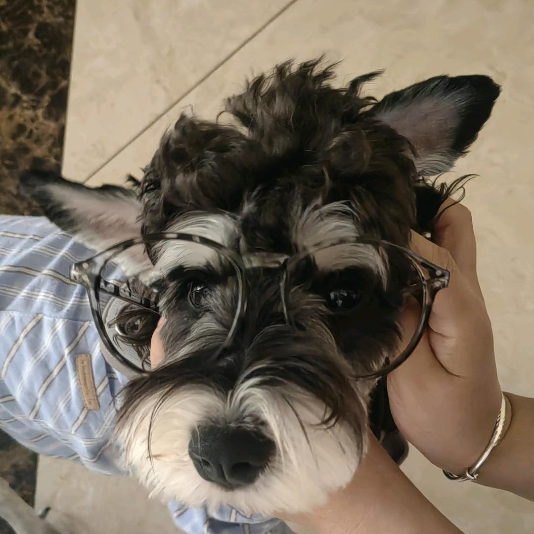 郑大钱💰的幸福生活